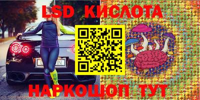 крисы Нальчик