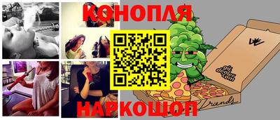 крисы Нальчик